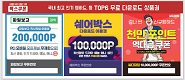 파일보고